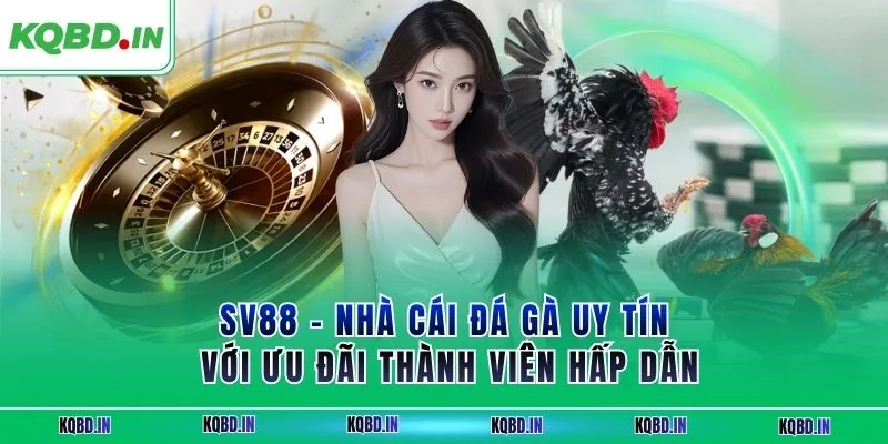 SV88 – Nhà Cái Đá Gà Uy Tín Với Ưu Đãi Thành Viên Hấp Dẫn 22 SV88 – Nhà Cái Đá Gà Uy Tín Với Ưu Đãi Thành Viên Hấp Dẫn